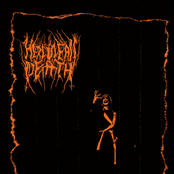 Lost Hierarchy of Dark Twisted Arts