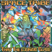 Thru The Looking Glass by Space Tribe