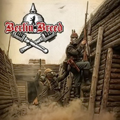 Berlin Breed