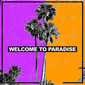 Welcome to Paradise