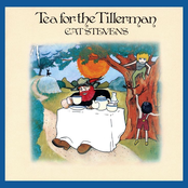 Tea For The Tillerman (Remastered) Album Picture