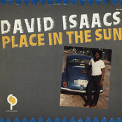 David Isaacs - Stealing Stealing