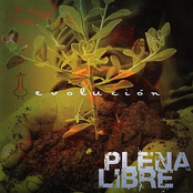 Plena Libre: Evolution