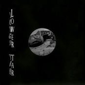 Lower Tar: Stung