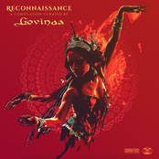 Reconnaissance - A Compilation Curated by Govinda