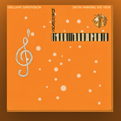 Snow Painting the View