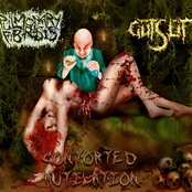 Contorted Mutilation (Split)