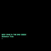 Nick Cave & the Bad Seeds - Skeleton Tree Artwork