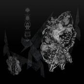 Indoctrination of Structure