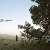 Arbouretum: The Gathering