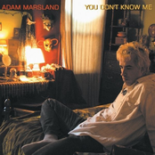 daylight kissing night: adam marsland's greatest hits