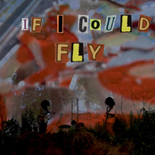 If I could fly - Single