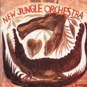 New Jungle Orchestra