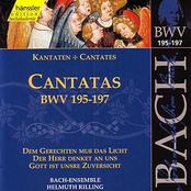 J.S. Bach - Cantatas BWV 195-197