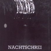 Nachtschrei