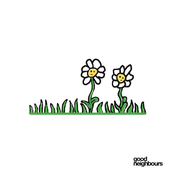 Good Neighbours: Daisies