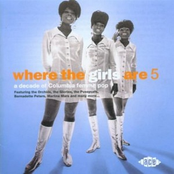Where The Girls Are: 5