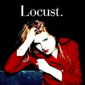 I Feel Cold Inside Because Of The Things You Say by Locust