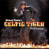 The Celtic Tiger by Ronan Hardiman