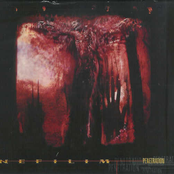 Penetration (Single)