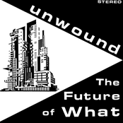 Re-enact The Crime by Unwound