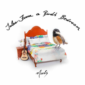 Meels: Tales from a Bird's Bedroom