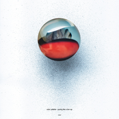 Color Palette: Pacing Like a Lion EP