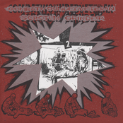 Combatwoundedveteran / Scrotum Grinder