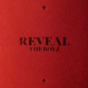 The Boyz: THE BOYZ 1ST ALBUM [REVEAL]