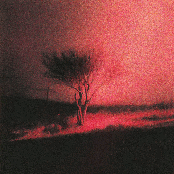 Piss In The Wind [Explicit]
