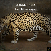 Los Cuatro Jaguares by Jorge Reyes