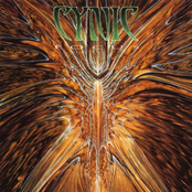 Cynic: Focus