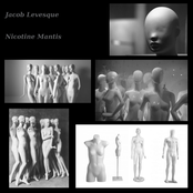 Jacob Levesque / Nicotine Mantis