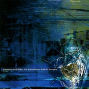 Sometimes God Hides: The Young Person's Guide to Discipline