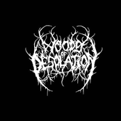 Instrumental by Woods Of Desolation