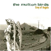 Envy Of Angels by The Mutton Birds