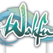 wakfu