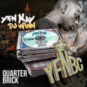 Quarter Brick