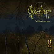 Tunnels under the Forest