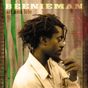 Beenie Man: Art And Life
