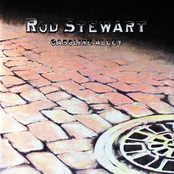 You're My Girl (i Don't Want To Discuss It) by Rod Stewart