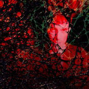 Thanks for telling me who I really am