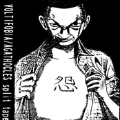 agathocles / voltifobia