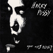 Pussy Control by Harry Pussy