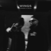 Wings