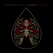 Teardrops - Single