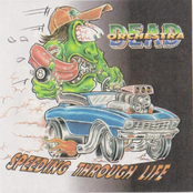 Speeding Through Life