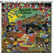 Beyond the Calico wall