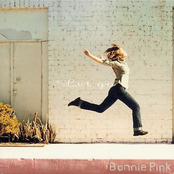 Shine by Bonnie Pink