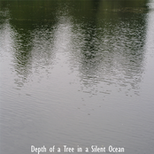 Depth of a Tree in a Silent Ocean